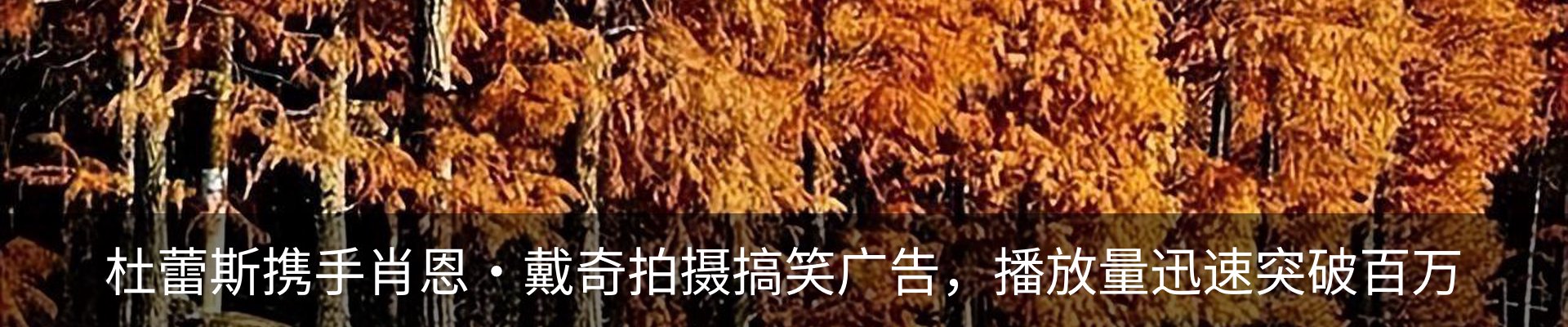新闻动态