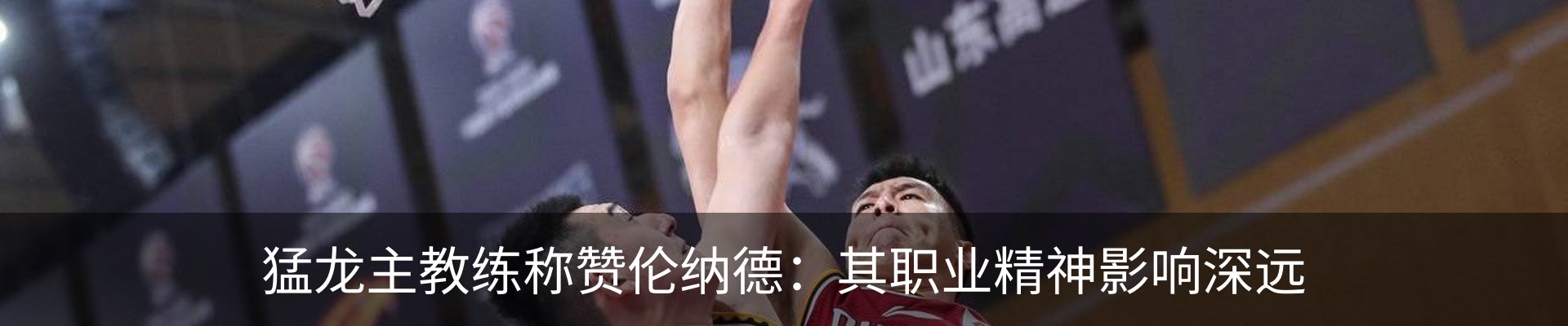 新闻动态