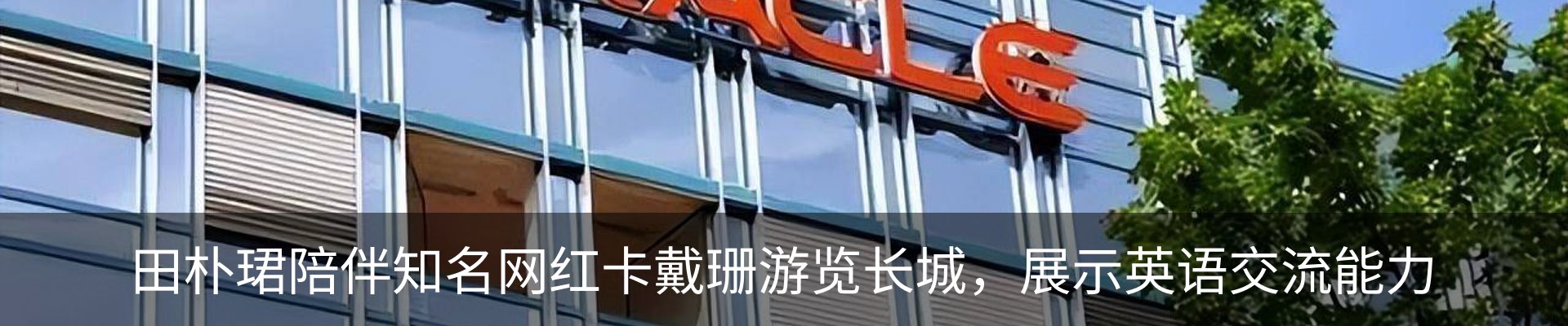 新闻动态